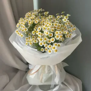 دسته گل بابونه