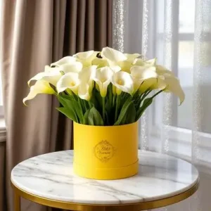باکس گل شیپوری